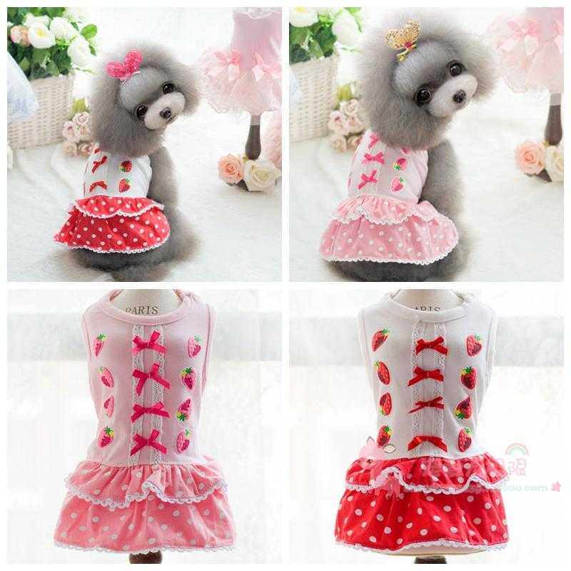 16年春款上市派可petco草莓蝴蝶结裙博美泰迪狗宠物衣服