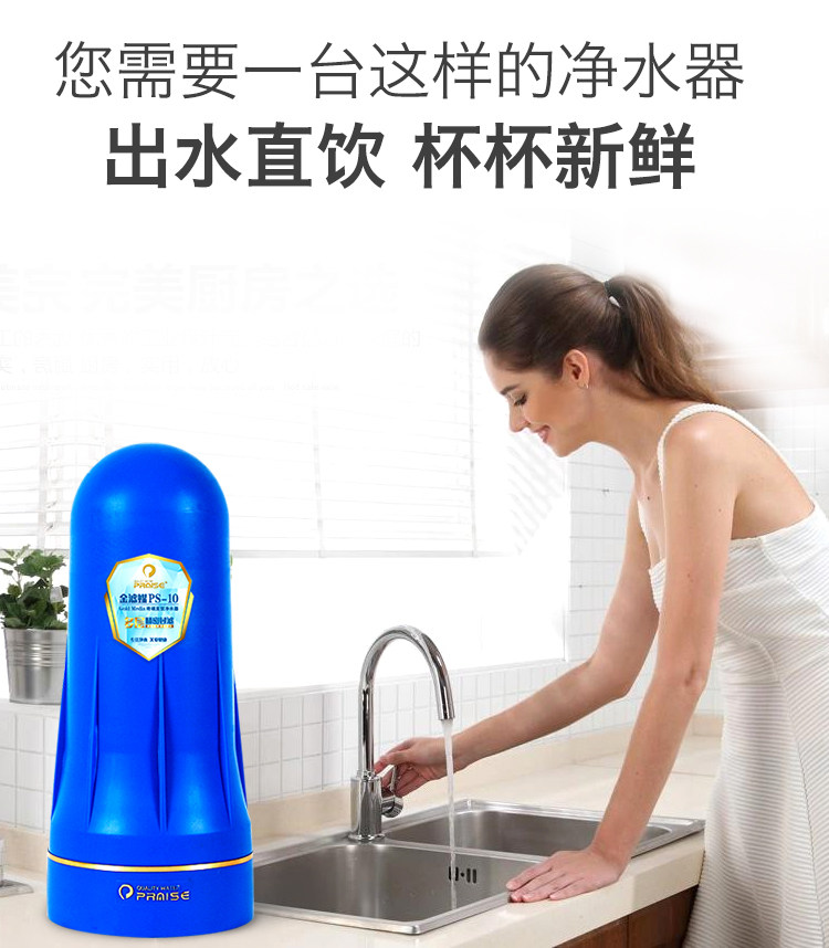 Paise Water Purifier Home Tap Filter Core Straight Drinking History Imperiv Kitchen Tap Water Filter Water Purifier