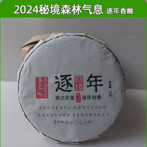 In 2024 the secret place of Pu Ming Ruis original fragrance will be picked up year by year. Puer tea 200g raw tea cake will be picked up by the years.