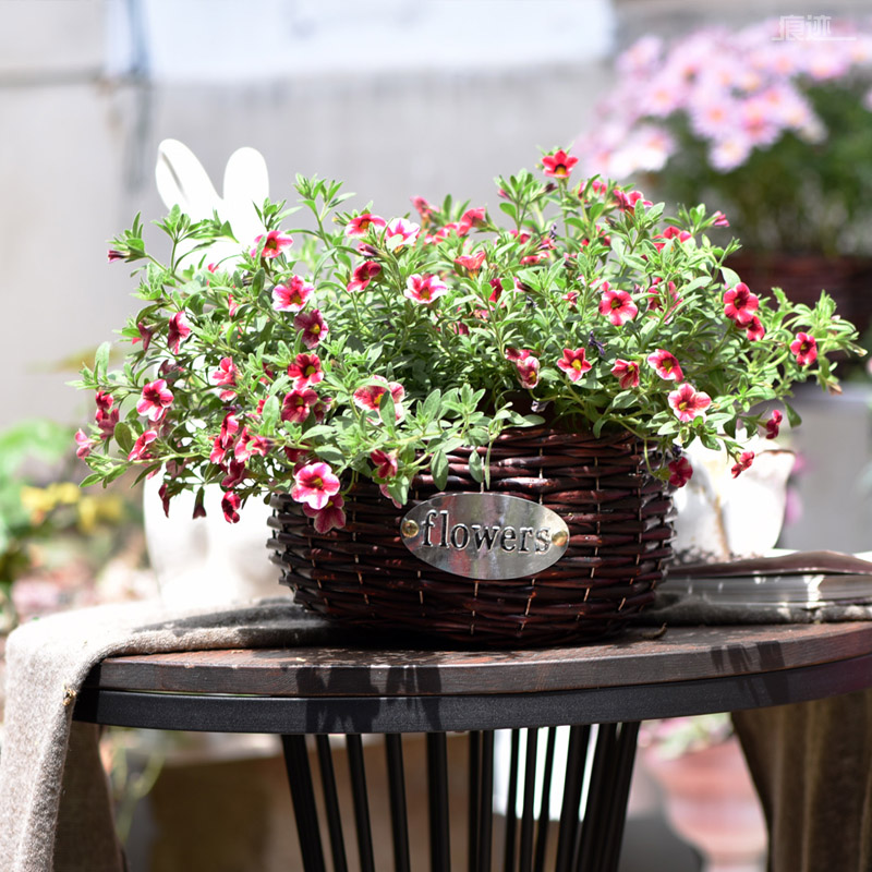 Rattan flowerpot hand-woven fleshy plant lined with flower basket indoor green flower basket soil culture vase