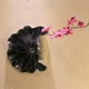 Qinghe Antique Mud Color+Phalaenopsis