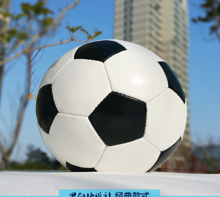 Ballon de football - Ref 7270 Image 9