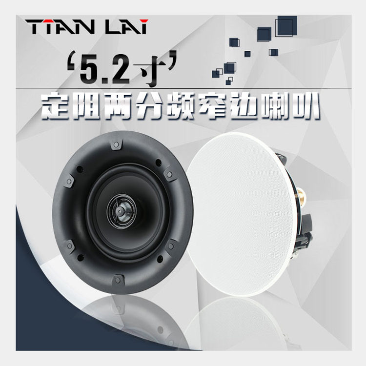 Sky-music TL-52 suction-top trumpeter Acoustic Resistance Sky tl52 embedded in coaxial suspended ceiling background music sound box