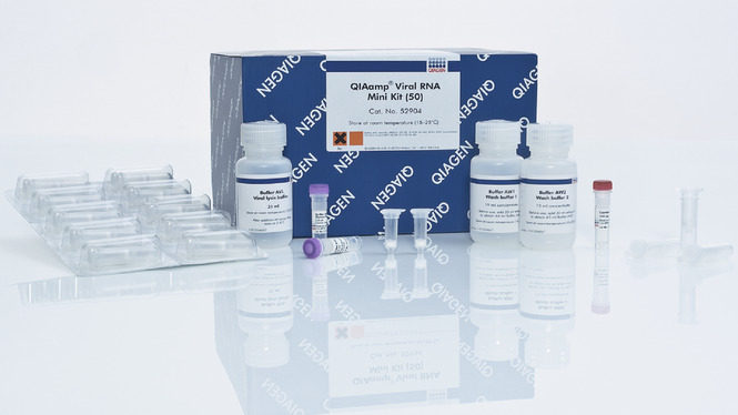 QIAGEN 52904 病毒RNA小提试剂盒 QIAamp Viral RNA Mini 50T