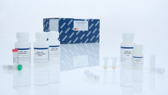 QIAGEN 52304 全血样本胞内RNA小提试剂盒 QIAamp RNA Blood 50T