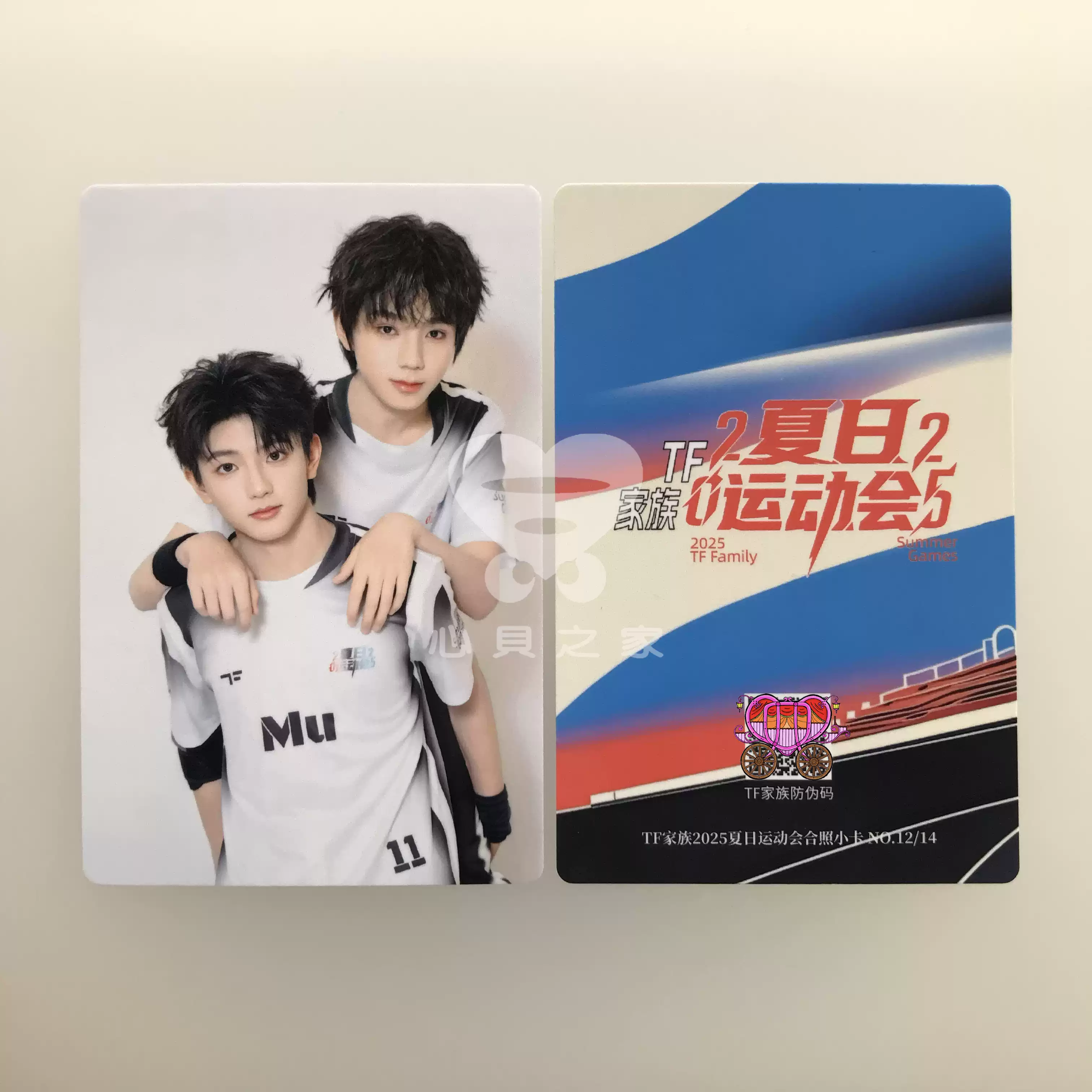 TNT时代少年团Vol.12梦境之物基础PB明信片小卡官周正品清仓