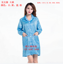 Dust-free clothes with dust-free coat of clothing