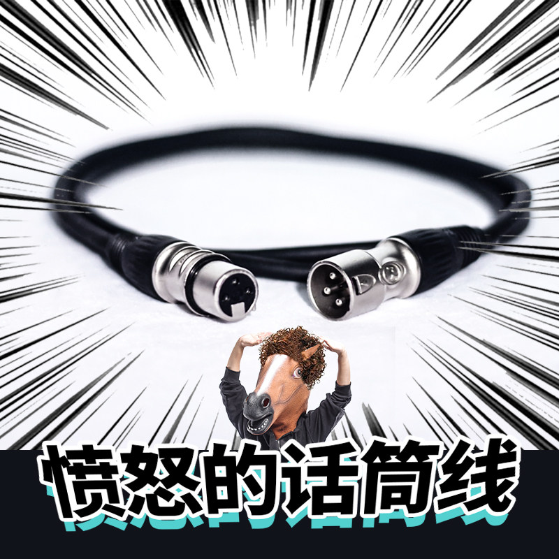 Кабель Canon от мужчины к женщине для живой звуковой карты микрофонный кабель с подключением микрофона профессиональный аудиокабель для караоке на сцене Изображение 1