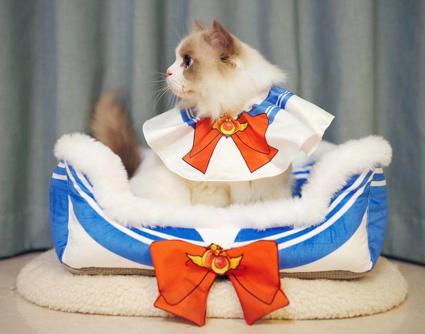 Warm Winter Kitten's Beautiful Girl (Need to check the inventory