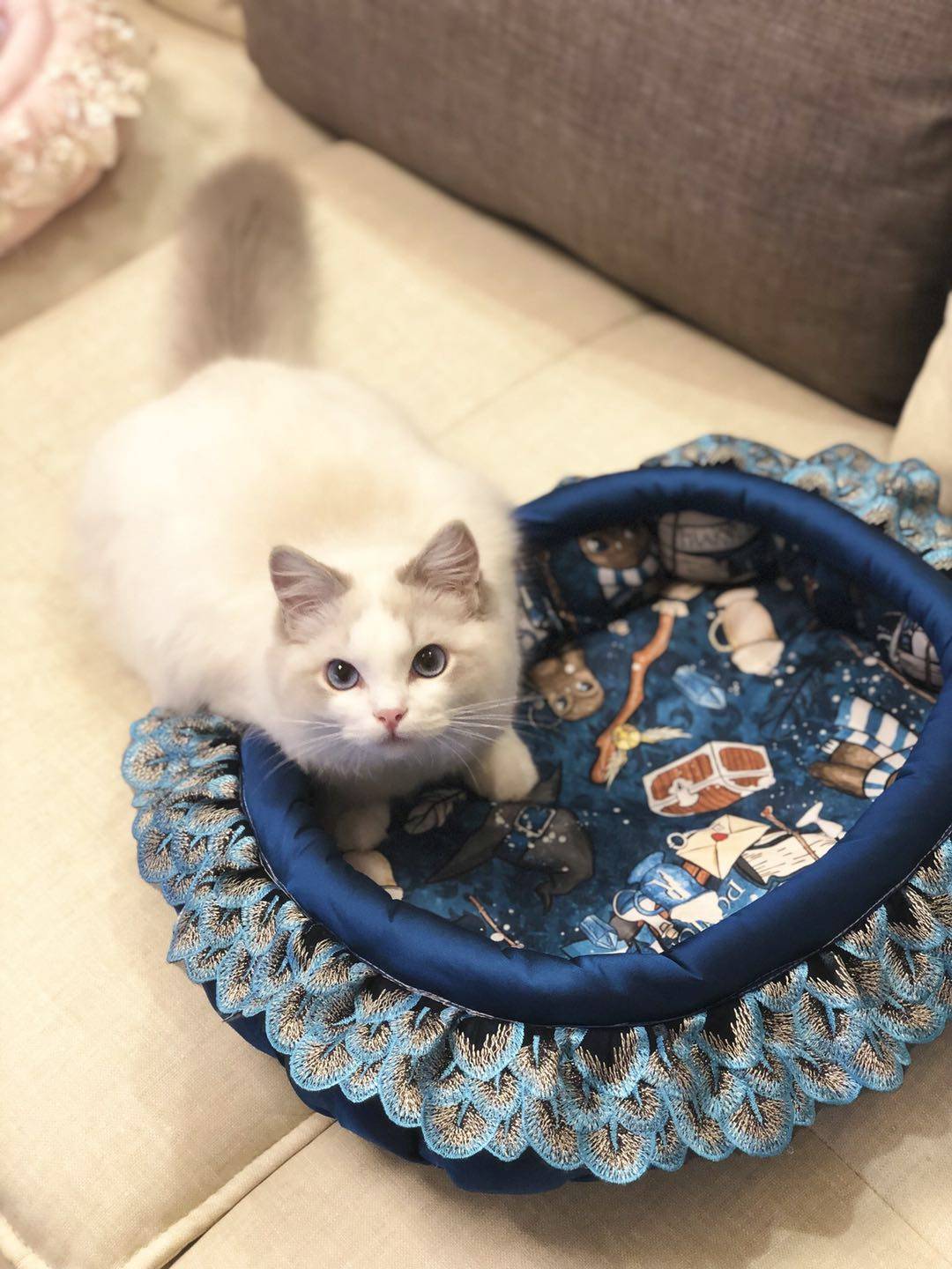 Pragmatism Harry Potter cat's kennel is waterproof (no to no refund