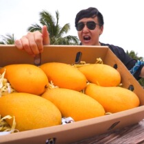 Hainan Jinhuang Mango Hainan Mango (PM to save no appetite)