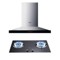 Guangyuan store Robam boss 8215 9B20 large suction range hood gas stove