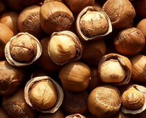 Northeast specialty Tieling original hazelnut original wild water leakage hazelnut 35 98 yuan a kilo