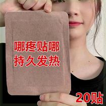 Ginger Agrass warm moxibustion adhesive shoulder neck hot compress with kneecap and shoulder periarthritis shoulder periarthritis joint patch fever ginger patch with moxa stick