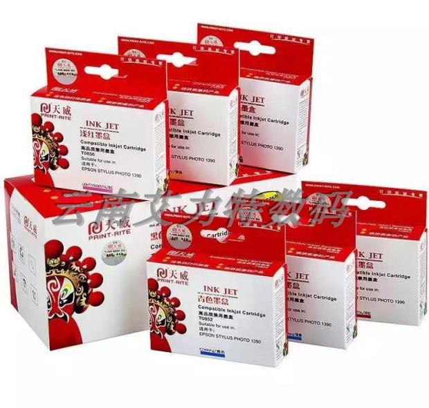 Skyway R1390 R330 R230 R230 850851821 cartridges 850851491 homemade ink cartridges