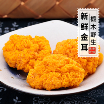 2021 Fresh golden ear fungus Wild Basswood golden ear fungus brain ear Yunnan specialty with peach gum saponin rice 500g