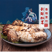 2021 Fresh Matsutake Wild mushroom Matsutake mushroom Yunnan Shangri-La specialty Export grade 500g