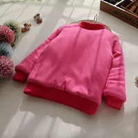 Роза красная