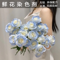 Flower color spray paint crushed ice blue dye rose flower spray colorant flower shop supplies floral colorant dyeing spray