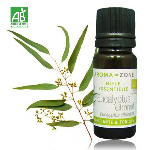 Spot France Aroma múi chanh Eucalyptus BIO hữu cơ đơn phương 10ml - Tinh dầu điều trị