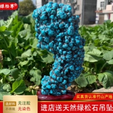 Кистлер 湖高瓷原矿无优化丫丫绿松石原石摆件观赏石大块收藏品支持ngtc