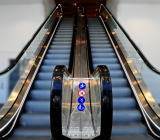 每周公布的KITCO黄金市场调查显示，华尔街和一般投资者仍然看涨，交易员称，他们预计大规模的财政刺激措施和货币宽松政策将继续为金价提供支撑...