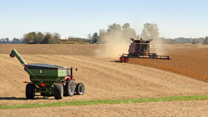 罗萨里奥贸易委员会：由于天气条件改善，阿根廷今年大豆和玉米产量都将飙升