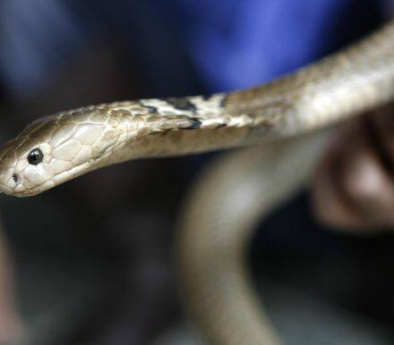 地缘政治紧张终结了美股频创新高之路。这会是调整的开始吗？橡树资本看到了下跌征兆。“新债王”说：“你要是等着引爆剂，那卖价就会很低。还是往出口走吧