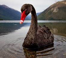 周二（1月18日）亚盘，油价走高，WTI原油期货站上85美元/桶，创去年10月以来新高；布伦特原油期货站上87美元/桶，创逾7年新高...