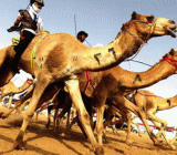 科威特石油大臣马尔祖克：目前减产协议执行情况良好，但美国页岩油的产量增长限制了油价上涨