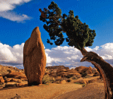 美国9月非农就业人口意外下降，但薪资和失业率表现喜人，CIBC认为9月非农未现明确信息，但强劲薪资数据利好美元，法农的看法则大相径庭，认为9月非农难改美元颓势