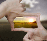 在经过2008年超140美元/桶的疯狂后，油价已经回落到不及50美元/桶。本轮油价下跌中，欧佩克国家使出冻产大招，但是依然无法有效提振油价，海湾国家的经济增长也因此下挫，2017年平均预测增长率不足1%，经济陷入停滞