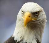 穆迪评级：美联储将“有点鹰派倾向”，并预计决策者将暗示今年四次加息是可能的