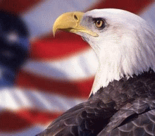 知名金融博客零对冲：美联储在通胀预期上传达了鹰派的立场，但没有明确提及4次加息