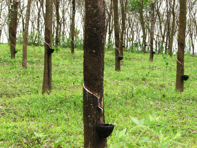  3.gif