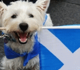 同样是独立，为何欧盟对苏格兰与西班牙的态度截然不同？