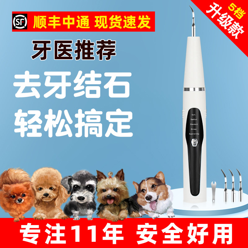 Dog Tooth Stone Remove Pets Ultrasound Tooth Cleaning Artisant Cleaning Tool Tool