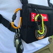 Outdoor mountaineering buckle quick hook rope adhesive hook spring lock backpack buckle key water bottle buckle D type aluminum alloy belongs to No. 8
