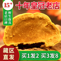 (True 15 Years) Wild Phellinus linteus Tibet Xiaonu 13 Years Special Grade 1 Hair 2 Ganoderma lucidum Autonomous Region Total 500g