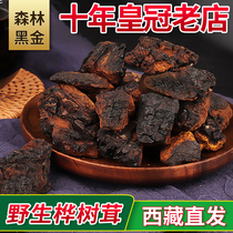Tibetan birch velvet wild-growing Chaga fungus 500g black gold particles white birch non-Russian imported tea