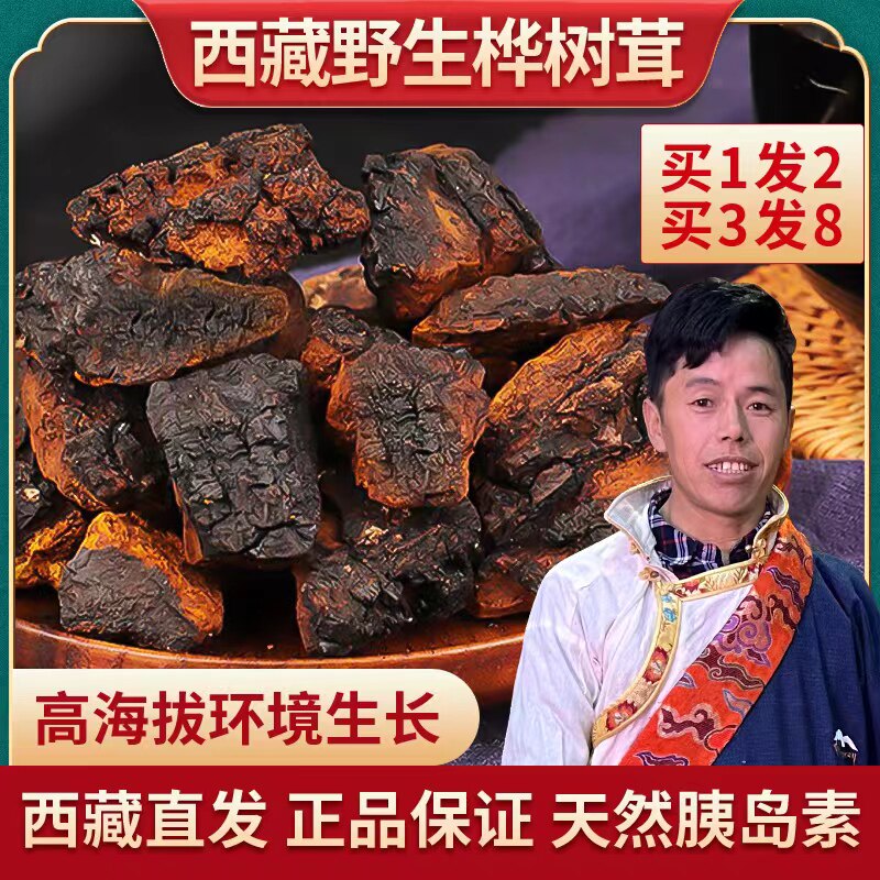 Tibetan birch velvet wild-growing Chaga fungus 500g black gold particles white birch non-Russian imported tea