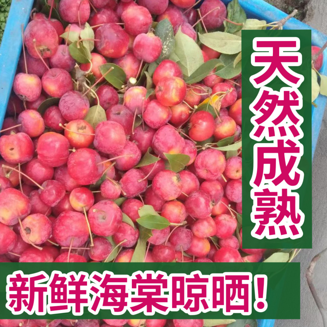 新疆天山雪水灌溉的海棠果，果然酸甜不涩_凤凰网, image size:1080x1080