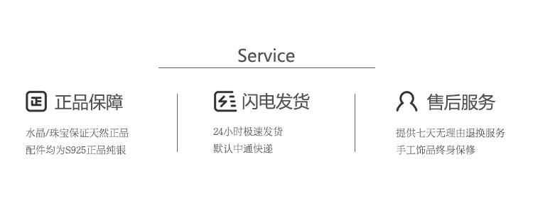  service.png