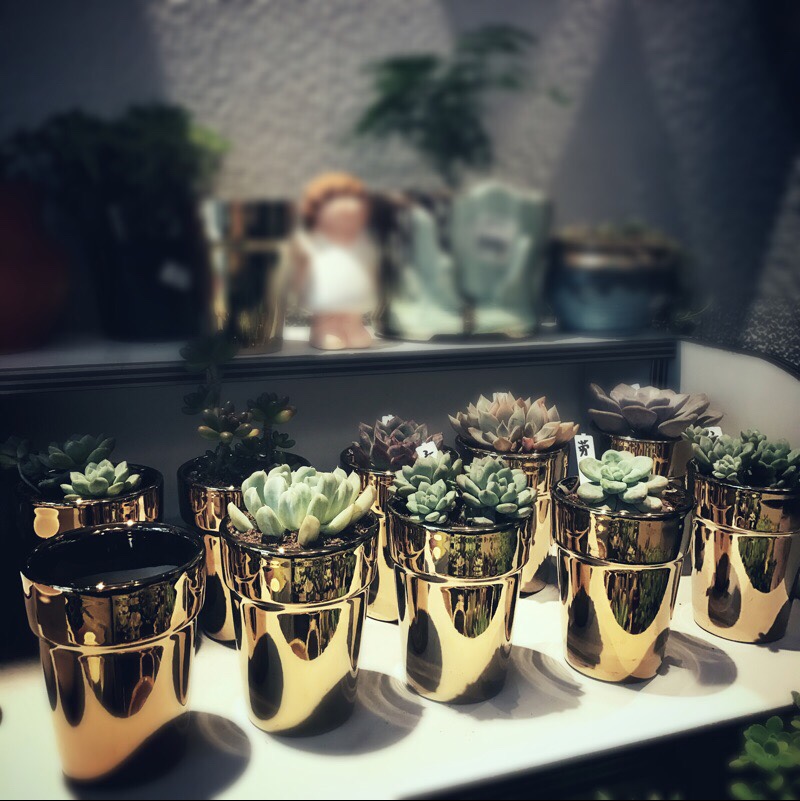 Gu Home Porcelain Art Mini Nordic Brass Christmas Golden Ceramic Flower Pot Vase Flower Illustrator Multi-Meat Flower Pot