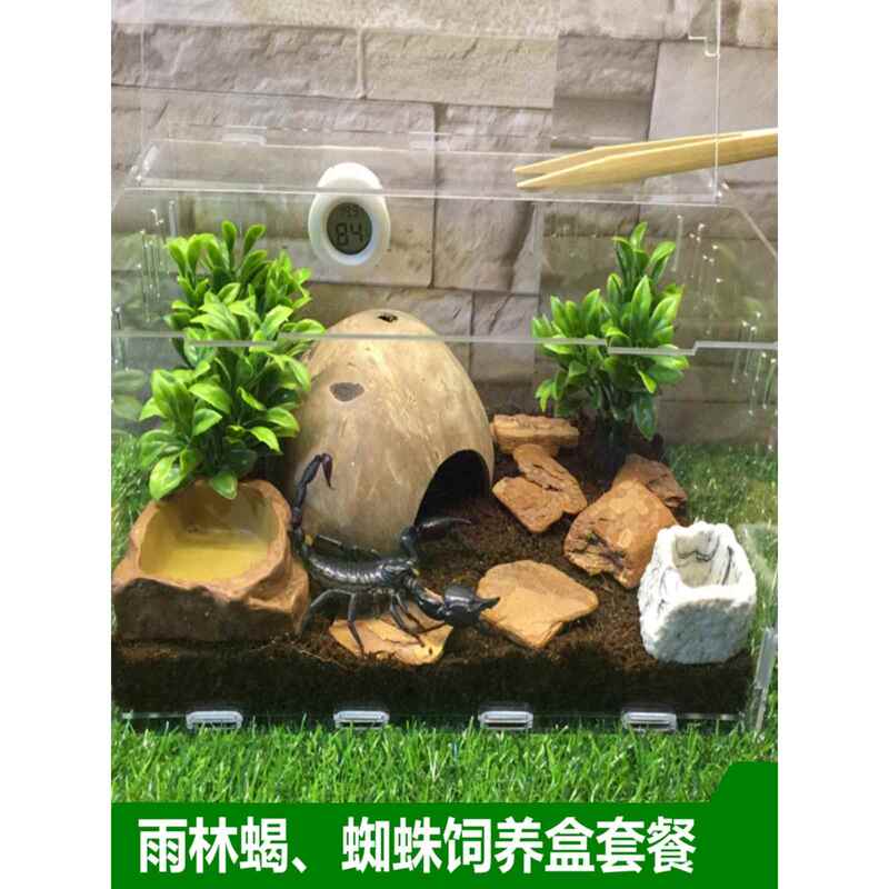 Reptile Breeding Box Spider Rainforest Scorpion Coconut Soil Landscaping Breeding Tank High Transparency Scorpion Beetle Red Dragon Centipede Gecko