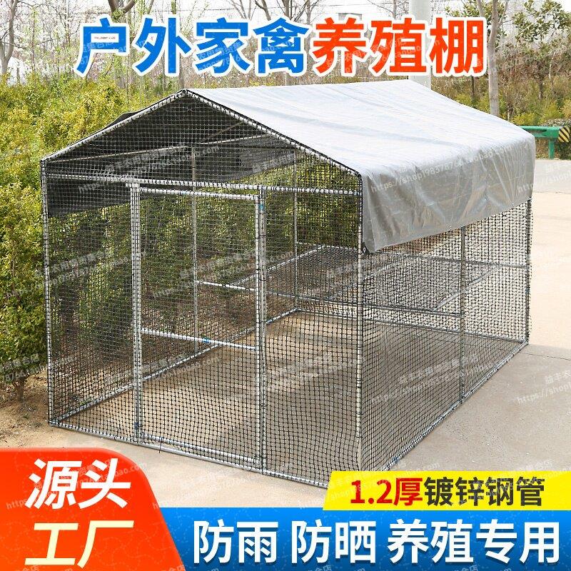 Large Chicken Coop, Outdoor Multifunctional Breeding Shed, Chicken, Duck, and Goose House, Peacock Cage, Pigeon and Poultry Breeding Cage