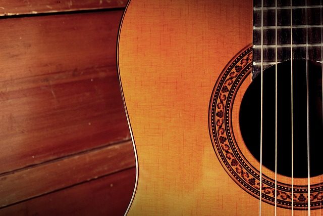 could elvis play guitar