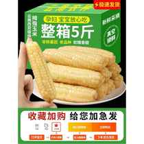Thumb corn Xishuangbanna finger little finger fragrant and waxy little corn Yunnan baby mother finger Banna waxy