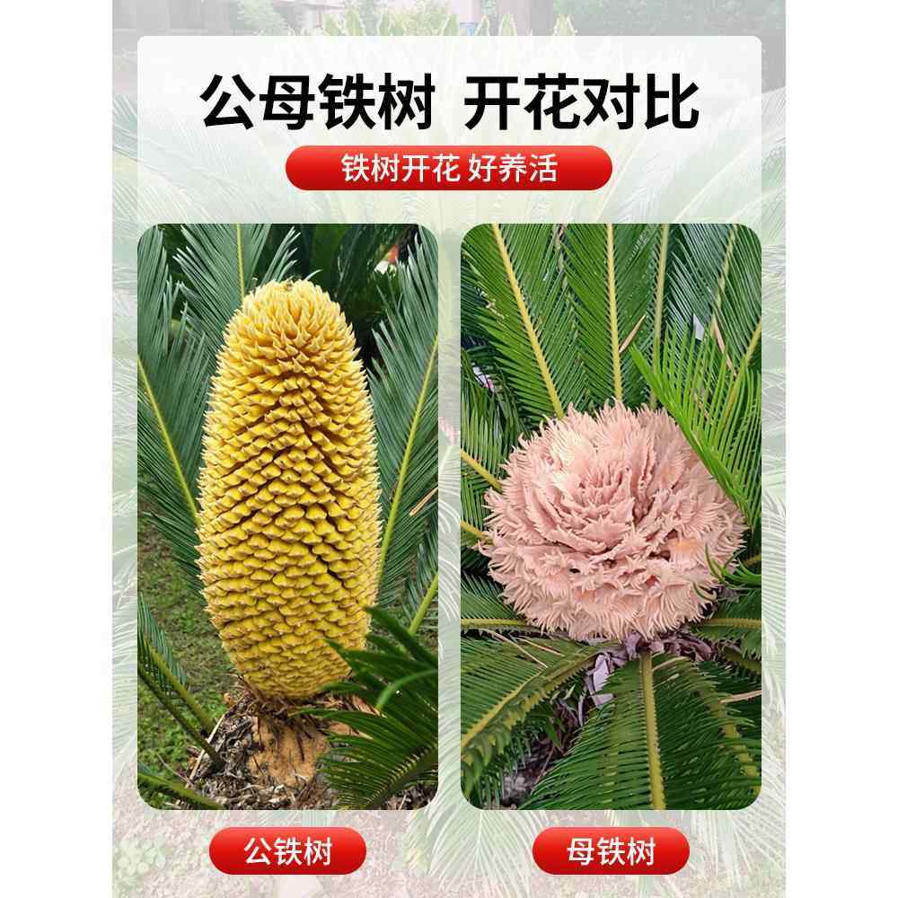 程帅澎闪动赛场：，完整展现助力球队斩获告捷(程帅澎如何了)