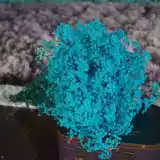 Сушеная гипсофила, сухоцветы, букеты из сухоцветов, большие букеты, прямые продажи с фабрики, бессмертные цветы, материал своими руками, настоящие цветы, украшения, предметы интерьера